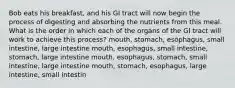 Bob eats his breakfast, and his GI tract will now begin the process of digesting and absorbing the nutrients from this meal. What is the order in which each of the organs of the GI tract will work to achieve this process? mouth, stomach, esophagus, small intestine, large intestine mouth, esophagus, small intestine, stomach, large intestine mouth, esophagus, stomach, small intestine, large intestine mouth, stomach, esophagus, large intestine, small intestin