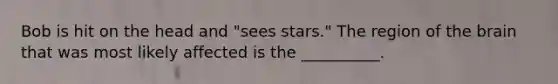 Bob is hit on the head and "sees stars." The region of the brain that was most likely affected is the __________.