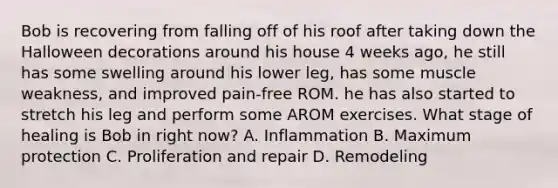 Bob is recovering from falling off of his roof after taking down the Halloween decorations around his house 4 weeks ago, he still has some swelling around his lower leg, has some muscle weakness, and improved pain-free ROM. he has also started to stretch his leg and perform some AROM exercises. What stage of healing is Bob in right now? A. Inflammation B. Maximum protection C. Proliferation and repair D. Remodeling