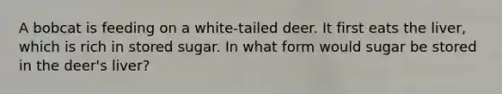 A bobcat is feeding on a white-tailed deer. It first eats the liver, which is rich in stored sugar. In what form would sugar be stored in the deer's liver?