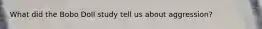 What did the Bobo Doll study tell us about aggression?