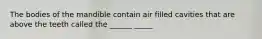 The bodies of the mandible contain air filled cavities that are above the teeth called the ______ _____