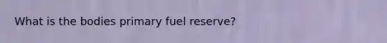 What is the bodies primary fuel reserve?