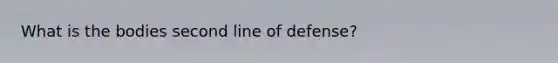 What is the bodies second line of defense?