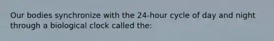 Our bodies synchronize with the 24-hour cycle of day and night through a biological clock called the:
