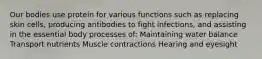 Our bodies use protein for various functions such as replacing skin cells, producing antibodies to fight infections, and assisting in the essential body processes of: Maintaining water balance Transport nutrients Muscle contractions Hearing and eyesight