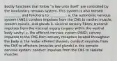 Bodily functions that follow "a law unto itself" are controlled by the involuntary nervous system. This system is also termed __________ and functions to __________. a. the autonomic nervous system (ANS); conduct impulses from the CNS to cardiac muscle, smooth muscle, and glands b. visceral sensory fibers; transmit impulses from the visceral organs (organs within the ventral body cavity) c. the afferent nervous system (ANS); convey impulses to the CNS from sensory receptors located throughout the body d. the motor efferent division; conduct impulses from the CNS to effectors (muscles and glands) e. the somatic nervous system; conduct impulses from the CNS to skeletal muscles