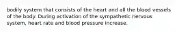 bodily system that consists of the heart and all the blood vessels of the body. During activation of the sympathetic nervous system, heart rate and blood pressure increase.