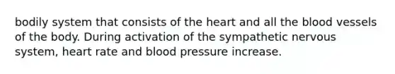 bodily system that consists of the heart and all the blood vessels of the body. During activation of the sympathetic nervous system, heart rate and blood pressure increase.