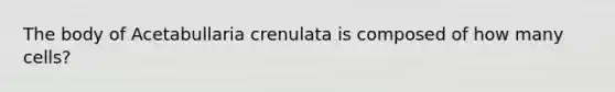 The body of Acetabullaria crenulata is composed of how many cells?