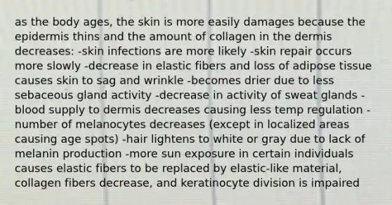 as the body ages, the skin is more easily damages because <a href='https://www.questionai.com/knowledge/kBFgQMpq6s-the-epidermis' class='anchor-knowledge'>the epidermis</a> thins and the amount of collagen in <a href='https://www.questionai.com/knowledge/kEsXbG6AwS-the-dermis' class='anchor-knowledge'>the dermis</a> decreases: -skin infections are more likely -skin repair occurs more slowly -decrease in elastic fibers and loss of adipose tissue causes skin to sag and wrinkle -becomes drier due to less sebaceous gland activity -decrease in activity of sweat glands -blood supply to dermis decreases causing less temp regulation -number of melanocytes decreases (except in localized areas causing age spots) -hair lightens to white or gray due to lack of melanin production -more sun exposure in certain individuals causes elastic fibers to be replaced by elastic-like material, collagen fibers decrease, and keratinocyte division is impaired