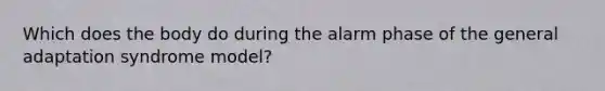 Which does the body do during the alarm phase of the general adaptation syndrome model?