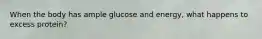 When the body has ample glucose and energy, what happens to excess protein?