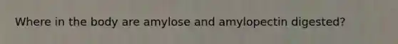 Where in the body are amylose and amylopectin digested?