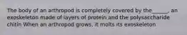 The body of an arthropod is completely covered by the______, an exoskeleton made of layers of protein and the polysaccharide chitin When an arthropod grows, it molts its exoskeleton