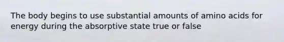 The body begins to use substantial amounts of amino acids for energy during the absorptive state true or false