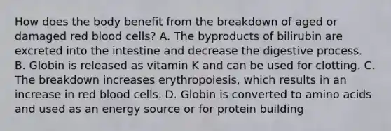 How does the body benefit from the breakdown of aged or damaged red blood cells? A. The byproducts of bilirubin are excreted into the intestine and decrease the digestive process. B. Globin is released as vitamin K and can be used for clotting. C. The breakdown increases erythropoiesis, which results in an increase in red blood cells. D. Globin is converted to amino acids and used as an energy source or for protein building