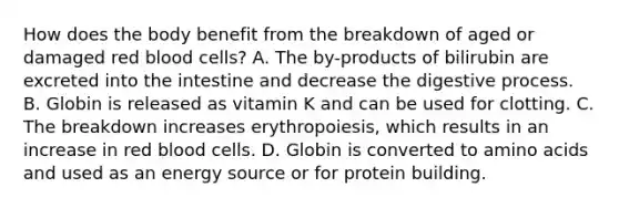 How does the body benefit from the breakdown of aged or damaged red blood cells? A. The by-products of bilirubin are excreted into the intestine and decrease the digestive process. B. Globin is released as vitamin K and can be used for clotting. C. The breakdown increases erythropoiesis, which results in an increase in red blood cells. D. Globin is converted to amino acids and used as an energy source or for protein building.