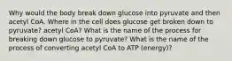 Why would the body break down glucose into pyruvate and then acetyl CoA. Where in the cell does glucose get broken down to pyruvate? acetyl CoA? What is the name of the process for breaking down glucose to pyruvate? What is the name of the process of converting acetyl CoA to ATP (energy)?