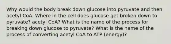 Why would the body break down glucose into pyruvate and then acetyl CoA. Where in the cell does glucose get broken down to pyruvate? acetyl CoA? What is the name of the process for breaking down glucose to pyruvate? What is the name of the process of converting acetyl CoA to ATP (energy)?