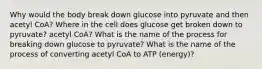 Why would the body break down glucose into pyruvate and then acetyl CoA? Where in the cell does glucose get broken down to pyruvate? acetyl CoA? What is the name of the process for breaking down glucose to pyruvate? What is the name of the process of converting acetyl CoA to ATP (energy)?