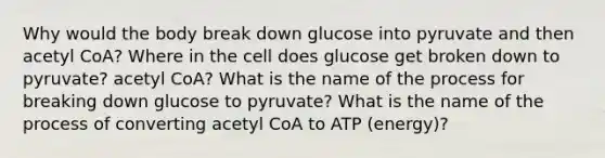 Why would the body break down glucose into pyruvate and then acetyl CoA? Where in the cell does glucose get broken down to pyruvate? acetyl CoA? What is the name of the process for breaking down glucose to pyruvate? What is the name of the process of converting acetyl CoA to ATP (energy)?