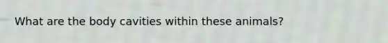 What are the body cavities within these animals?