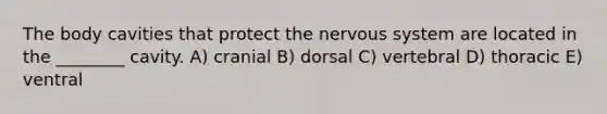 The body cavities that protect the nervous system are located in the ________ cavity. A) cranial B) dorsal C) vertebral D) thoracic E) ventral