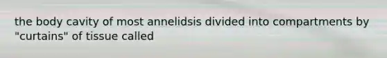 the body cavity of most annelidsis divided into compartments by "curtains" of tissue called