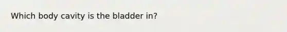 Which body cavity is the bladder in?