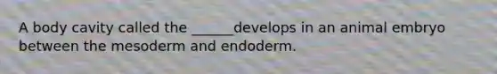 A body cavity called the ______develops in an animal embryo between the mesoderm and endoderm.