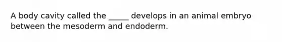 A body cavity called the _____ develops in an animal embryo between the mesoderm and endoderm.