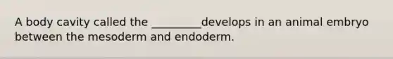 A body cavity called the _________develops in an animal embryo between the mesoderm and endoderm.