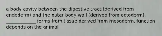 a body cavity between the digestive tract (derived from endoderm) and the outer body wall (derived from ectoderm). _____________ forms from tissue derived from mesoderm, function depends on the animal