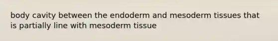 body cavity between the endoderm and mesoderm tissues that is partially line with mesoderm tissue