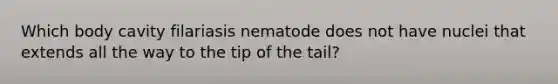 Which body cavity filariasis nematode does not have nuclei that extends all the way to the tip of the tail?