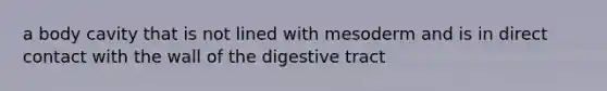 a body cavity that is not lined with mesoderm and is in direct contact with the wall of the digestive tract