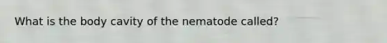 What is the body cavity of the nematode called?