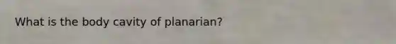 What is the body cavity of planarian?