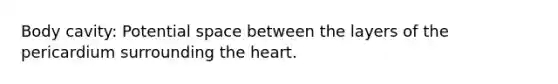 Body cavity: Potential space between the layers of the pericardium surrounding the heart.