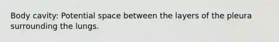 Body cavity: Potential space between the layers of the pleura surrounding the lungs.
