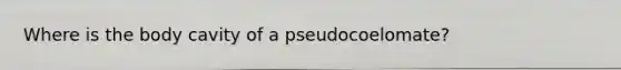 Where is the body cavity of a pseudocoelomate?