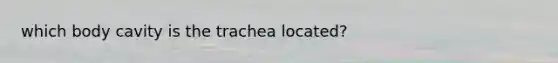 which body cavity is the trachea located?