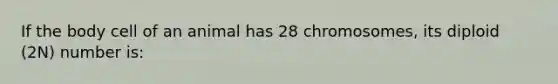 If the body cell of an animal has 28 chromosomes, its diploid (2N) number is: