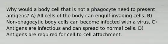 Why would a body cell that is not a phagocyte need to present antigens? A) All cells of the body can engulf invading cells. B) Non-phagocytic body cells can become infected with a virus. C) Antigens are infectious and can spread to normal cells. D) Antigens are required for cell-to-cell attachment.