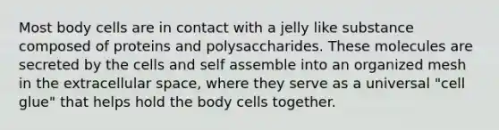 Most body cells are in contact with a jelly like substance composed of proteins and polysaccharides. These molecules are secreted by the cells and self assemble into an organized mesh in the extracellular space, where they serve as a universal "cell glue" that helps hold the body cells together.