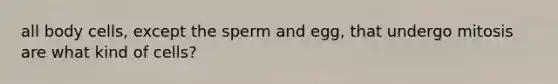 all body cells, except the sperm and egg, that undergo mitosis are what kind of cells?