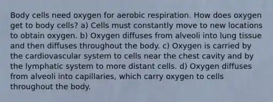 Body cells need oxygen for aerobic respiration. How does oxygen get to body cells? a) Cells must constantly move to new locations to obtain oxygen. b) Oxygen diffuses from alveoli into lung tissue and then diffuses throughout the body. c) Oxygen is carried by the cardiovascular system to cells near the chest cavity and by the lymphatic system to more distant cells. d) Oxygen diffuses from alveoli into capillaries, which carry oxygen to cells throughout the body.