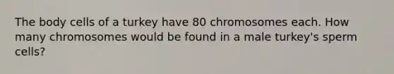 The body cells of a turkey have 80 chromosomes each. How many chromosomes would be found in a male turkey's sperm cells?