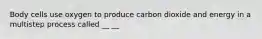 Body cells use oxygen to produce carbon dioxide and energy in a multistep process called __ __